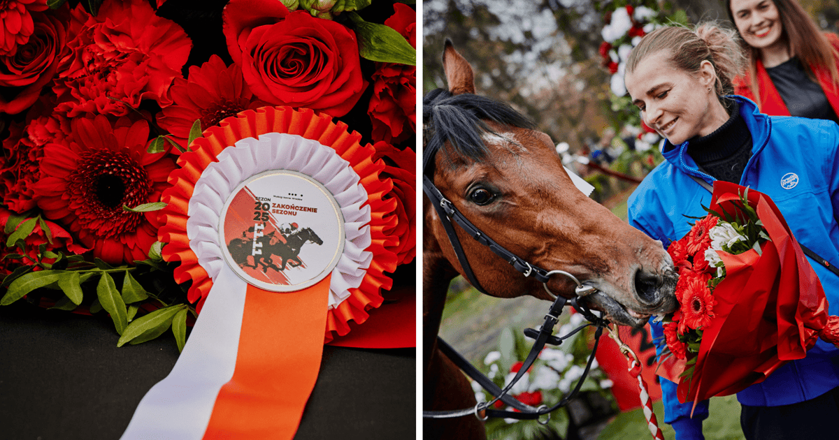 Ostatni dzień wyścigowy na wrocławskich Partynicach. To był rekordowy sezon