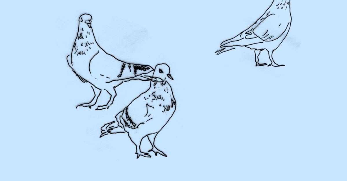 Jakie będzie podwórko pomiędzy Nyską, Paczkowską i Sernicką?