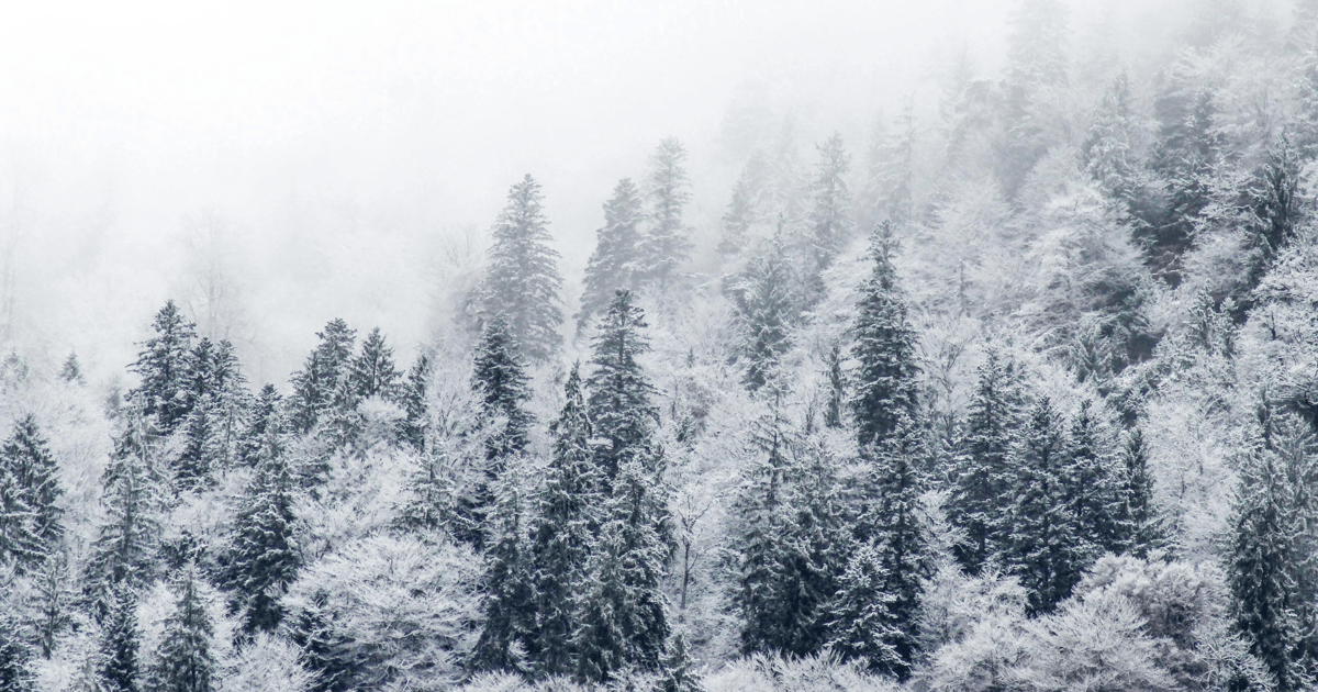 Na Dolnym Śląsku jest dziś najzimniej w Polsce! Jak długo to potrwa?