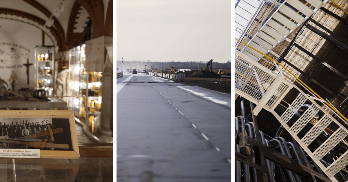 Wrocław dla WOŚP! zwiedzanie muzeum medycyny sądowej, przejażdżka z gangiem zoo i inne!