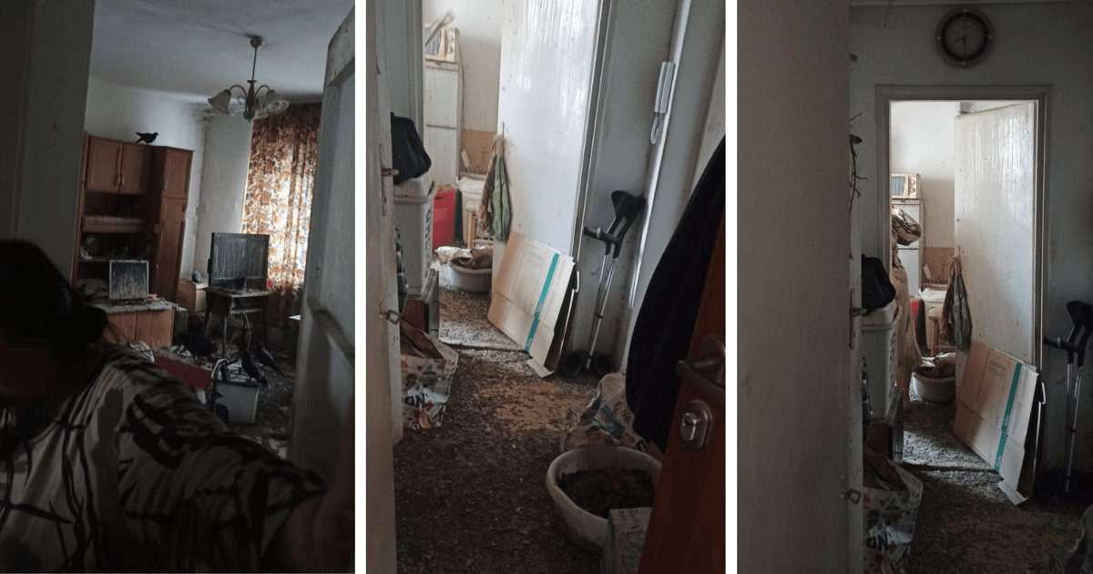 "Gołębnik" w mieszkaniu na Nowowiejskiej. Wkroczyła Straż Miejska Wrocławia