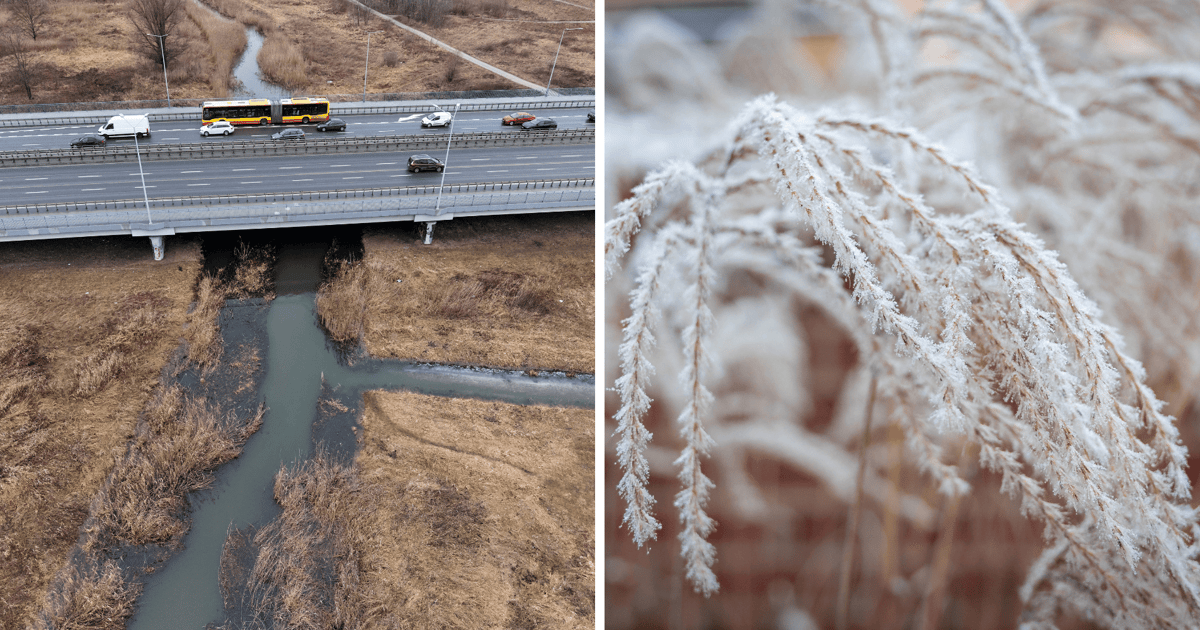 Nocne przymrozki w nadchodzącym tygodniu i przekroczony stan ostrzegawczy