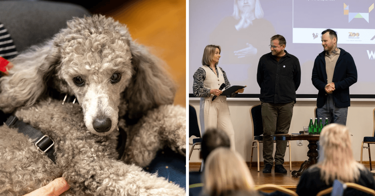 We Wrocławiu znów będzie głośno o prawach zwierząt