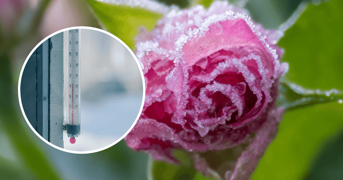 Silne przymrozki na Dolnym Śląsku. Weekend na minusie