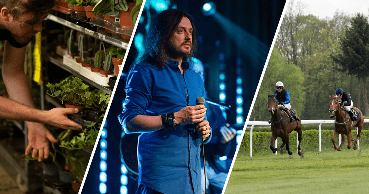 Wrocław na weekend 10-12 kwietnia 2026 r. [WYDARZENIA]