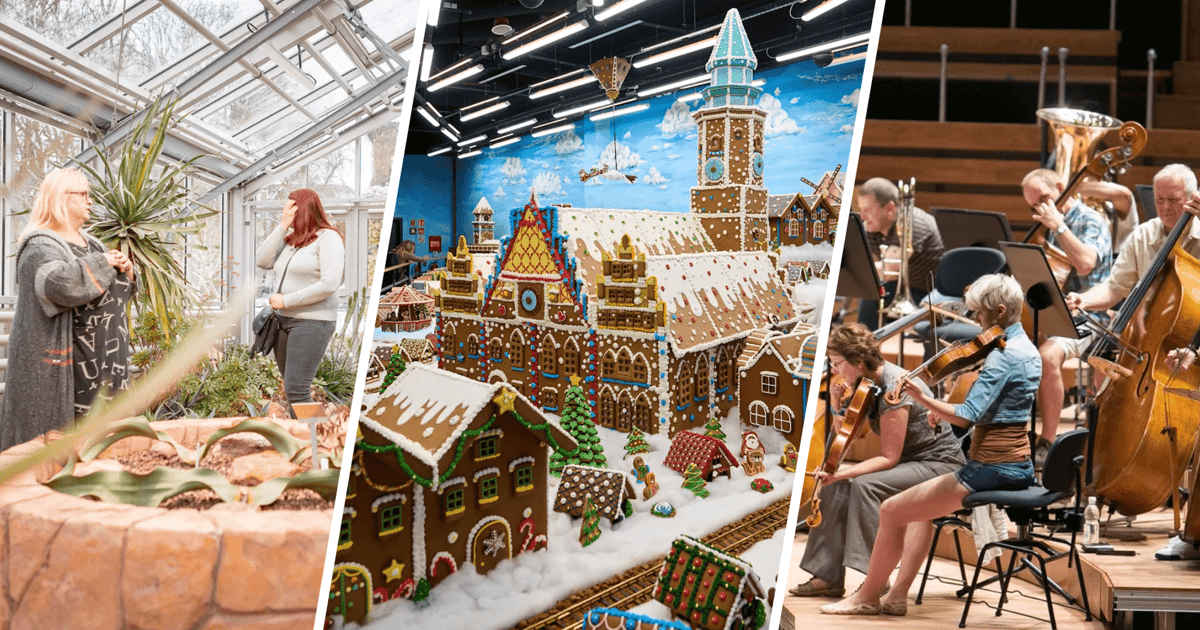 Wrocław na weekend 9-11 stycznia 2026 r. Co się będzie działo? [WYDARZENIA]