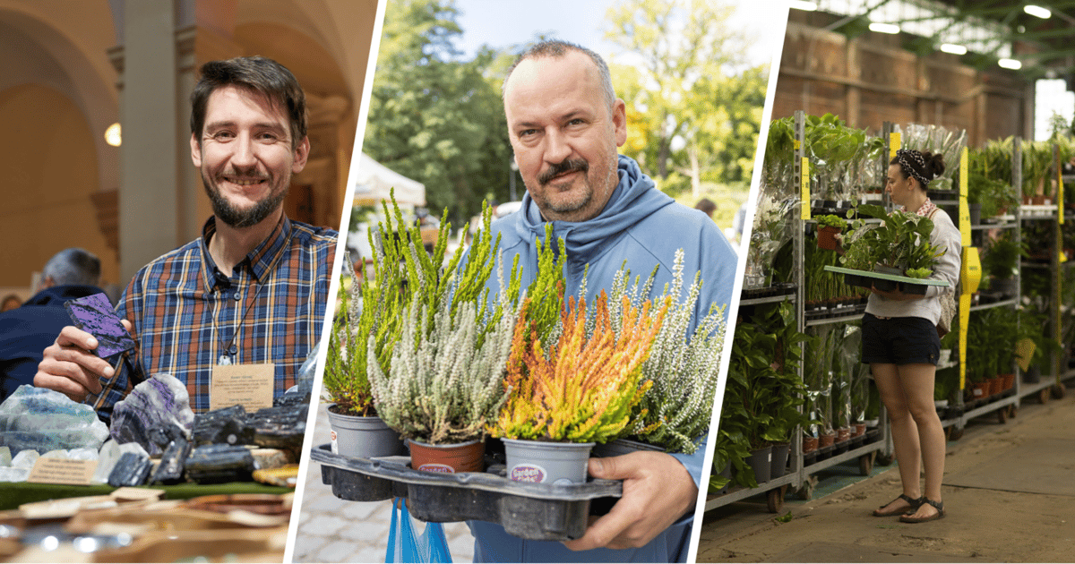 Wrocław na weekend 26-28 września 2025 r. [WYDARZENIA]