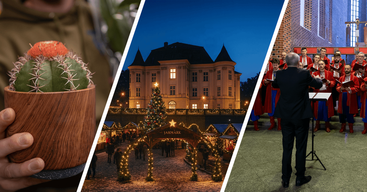 Wrocław na weekend 12-14 grudnia 2025 r. [WYDARZENIA]