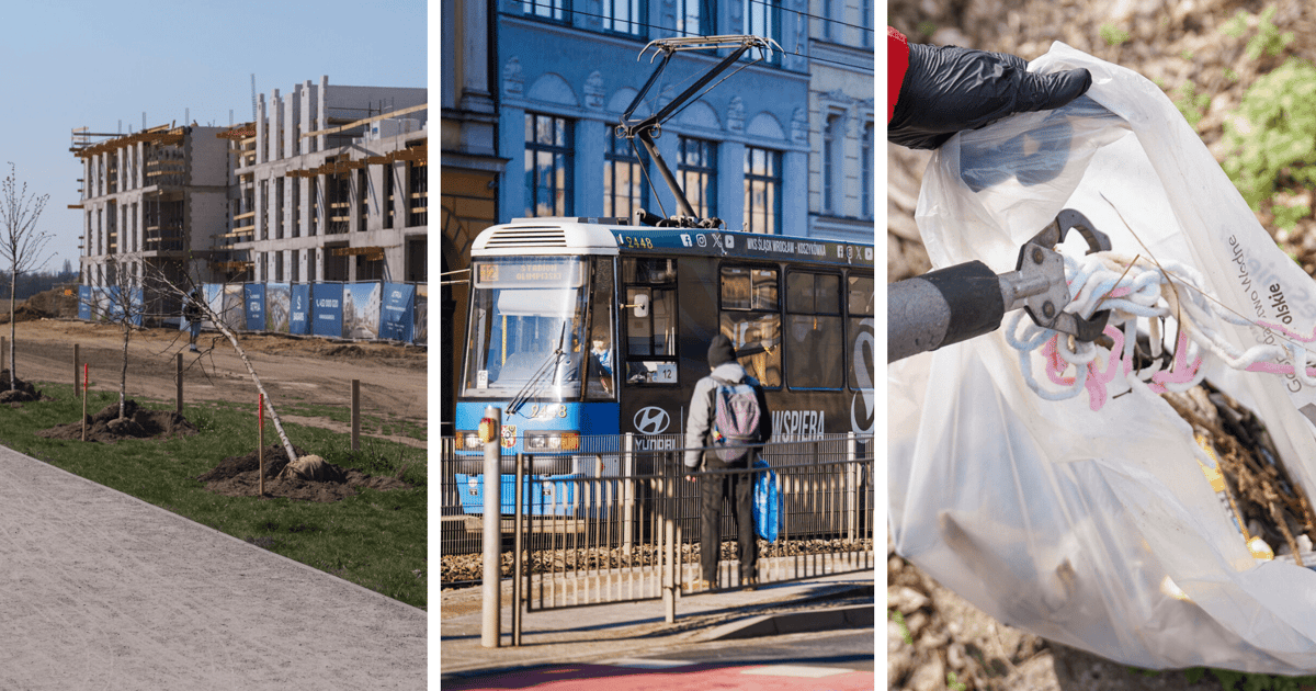 Dzień Ziemi 2026. Co Wrocławianie mogą zrobić dla Planety?