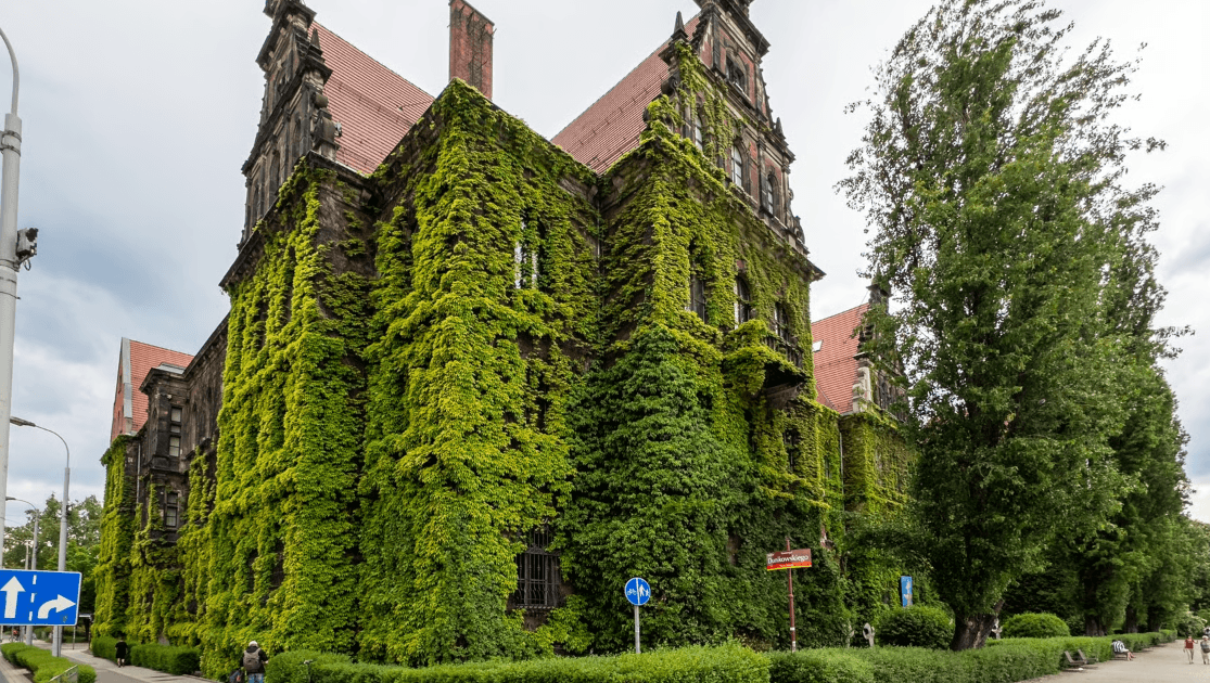 Zielono-niebieska infrastruktura we Wrocławiu. Dlaczego jest tak ważna?