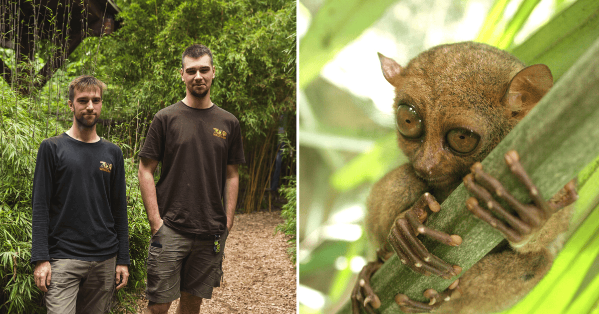 Będą liczyć w dżungli lotokoty i wyraki. Poznajcie Bartka i Jakuba z wrocławskiego zoo