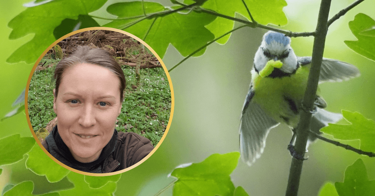 Co słychać we wrocławskich parkach? Idź na spacer, weź telefon i przekonaj się sam