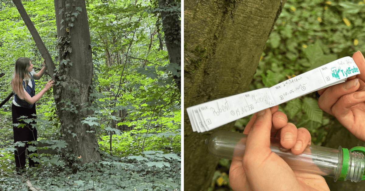 Idź do parku i poszukaj „skarbów”. Czym jest geocaching?