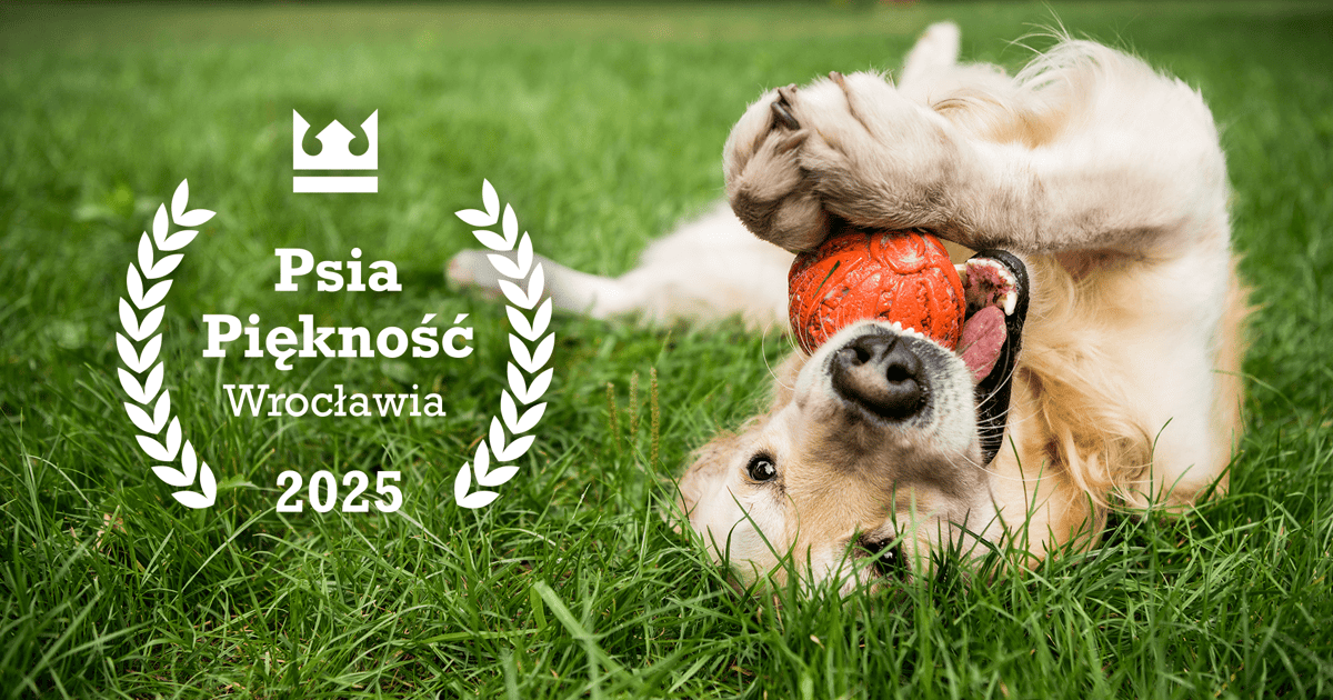 Psia Piękność Wrocławia 2025. Wybieramy najpiękniejszego pieska [ZGŁOSZENIA]