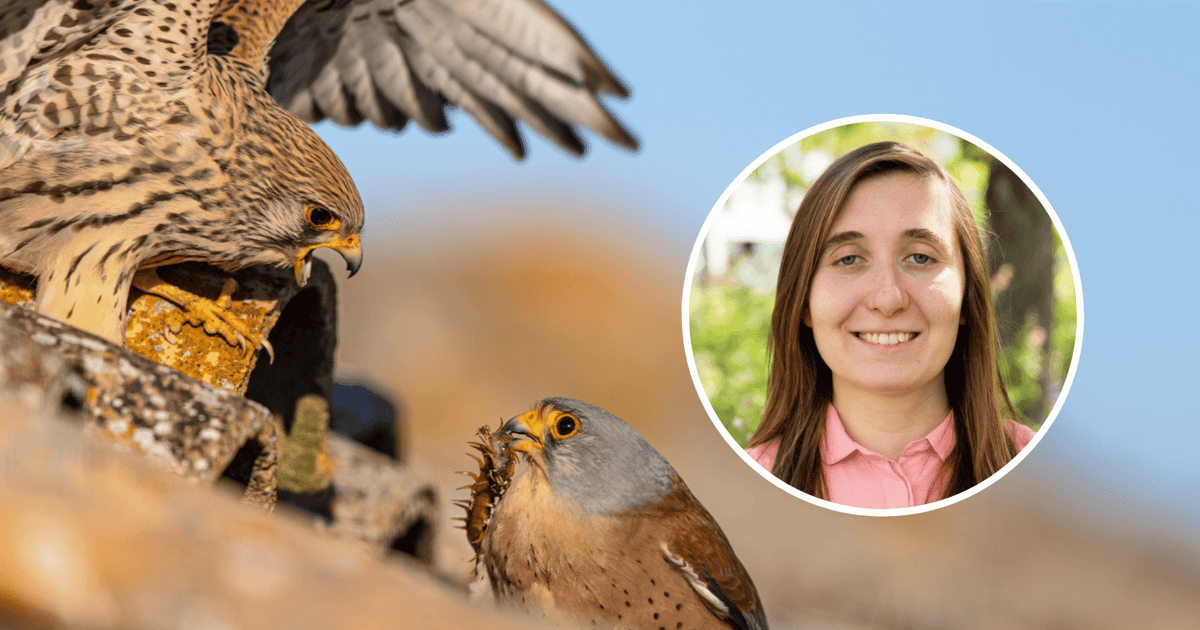 Ptaki – pełnoprawni mieszkańcy Wrocławia. Bądźmy dla nich dobrymi sąsiadami