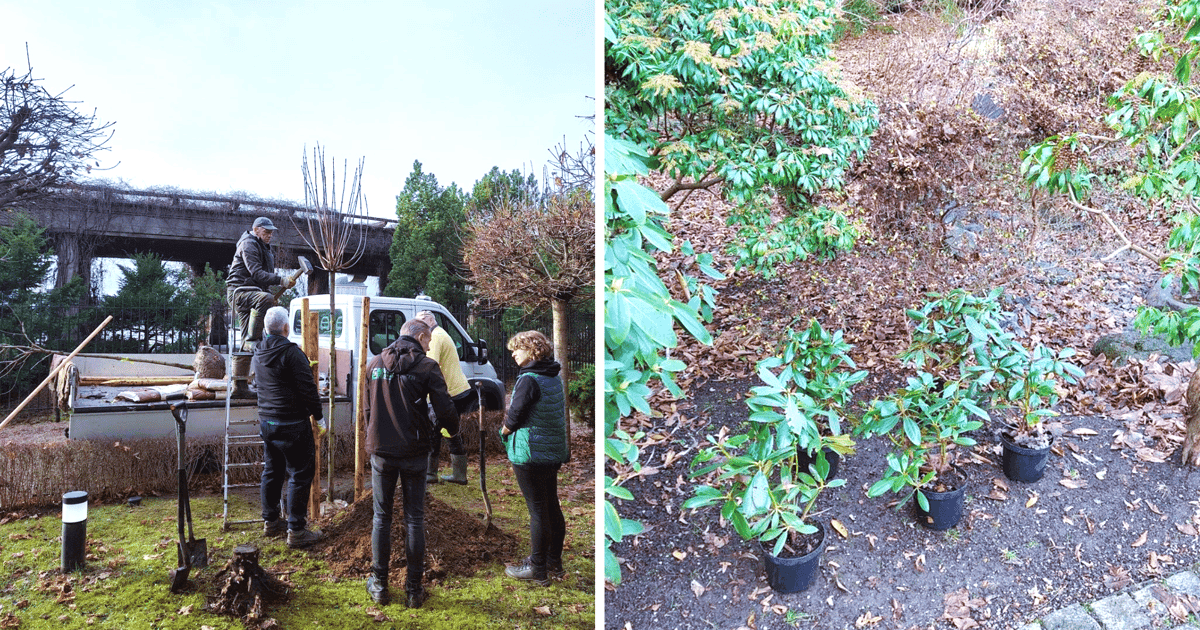 Co słychać w zamkniętym na zimę Ogrodzie Japońskim?
