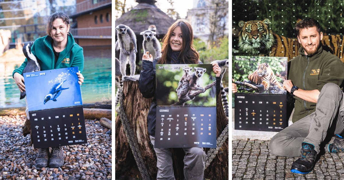 Prezenty dla tych, którzy kochają zwierzęta. Kupisz je dzięki wrocławskiemu zoo