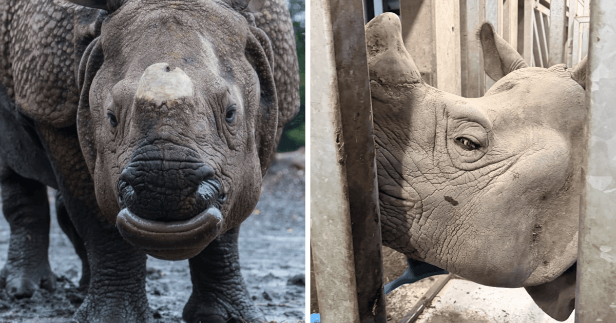 Kawaler dla Marusi szykuje się do drogi. Kiedy przyjedzie do Wrocławia? | FILM, ZDJĘCIA