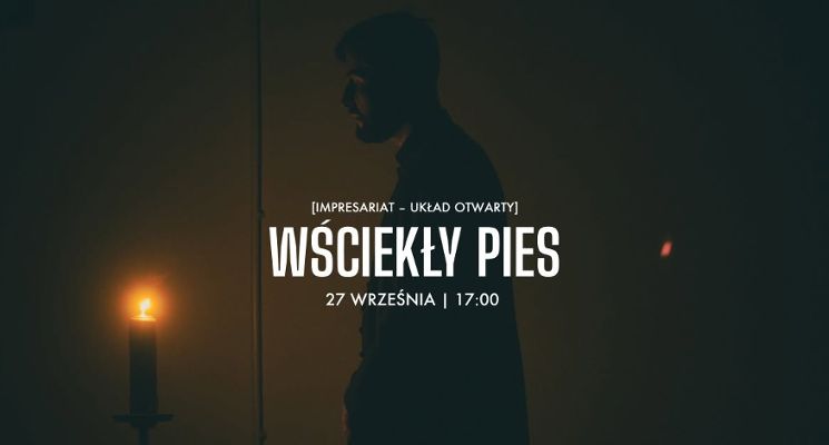 Plakat Wściekły pies | reż. Marcin Bortkiewicz