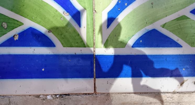 Plakat Sophie de Mello Breyner Andresen „Dziewczynki z morza” – prapremiera i czytanie