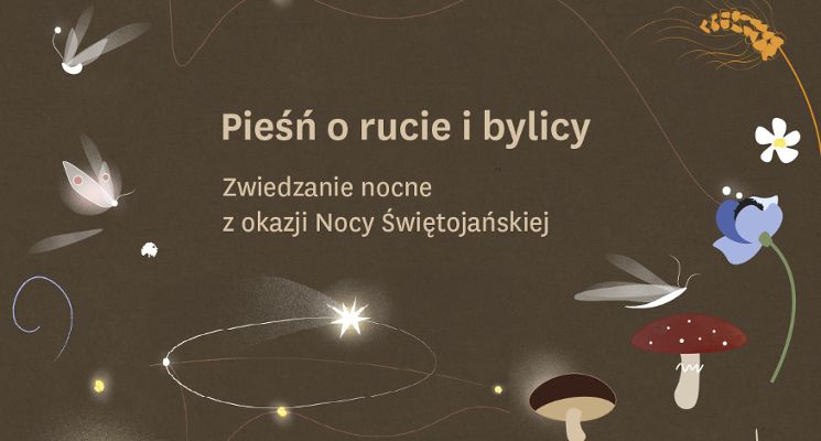 Plakat Pieśń o rucie i bylicy – nocne zwiedzanie muzeum z okazji Nocy Świętojańskiej