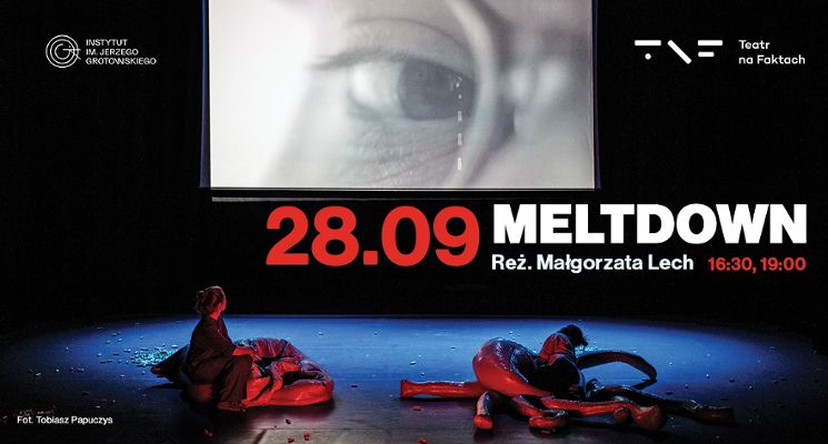 Plakat Spektakl „Meltdown” w reż. Małgorzaty Lech w ramach teatru na Faktach