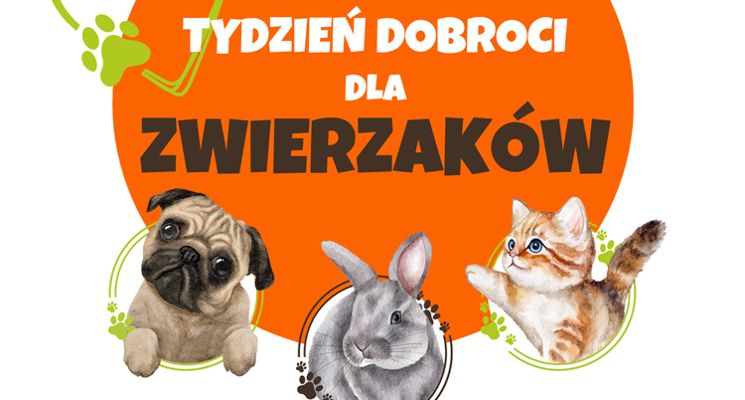 Plakat Tydzień dobroci dla zwierzaków w MDK im. Mikołaja Kopernika