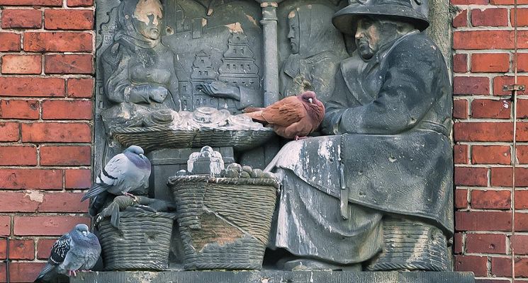 Plakat Poznaj Wrocław. Kobiety Wrocławia - architektki, pionierki i święte