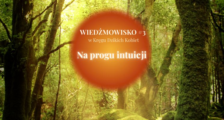 Plakat Wiedźmowisko – w Kręgu Dzikich Kobiet [warsztat rozwojowy dla kobiet]