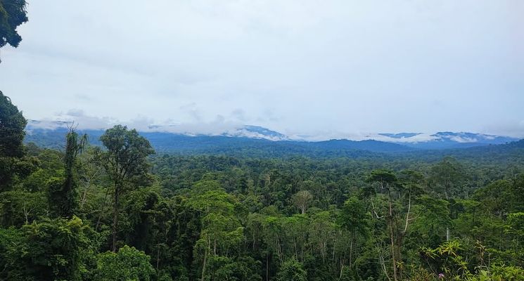 Plakat Borneo - prezentacja podróżnicza