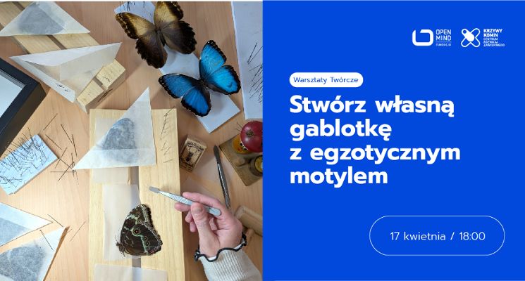 Plakat Warsztaty Twórcze: Stwórz własną gablotkę z egzotycznym motylem