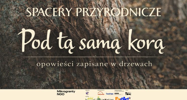 Plakat Spacery przyrodnicze po Pawłowicach - „Pod tą samą korą – opowieści zapisane w drzewach”.