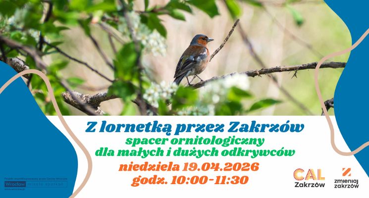 Plakat Spacer ornitologiczny