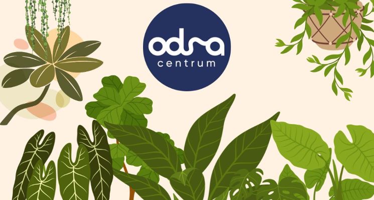 Plakat Wymiana Roślin w Odra Centrum