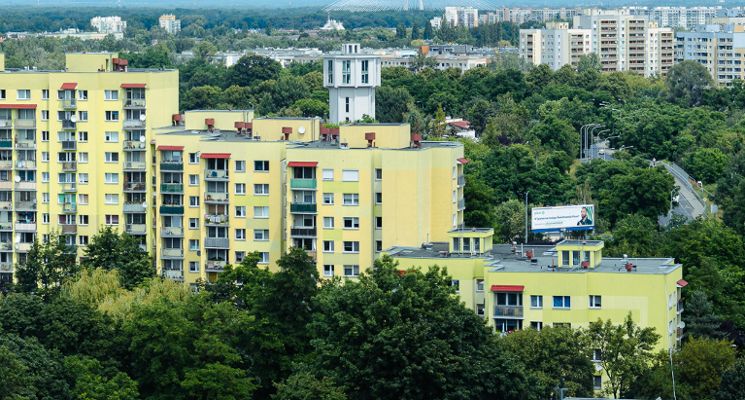 Plakat Strefy zielone - warsztaty ogrodnicze dla rodzin w ramach projektu Nowy wspólny Dwór