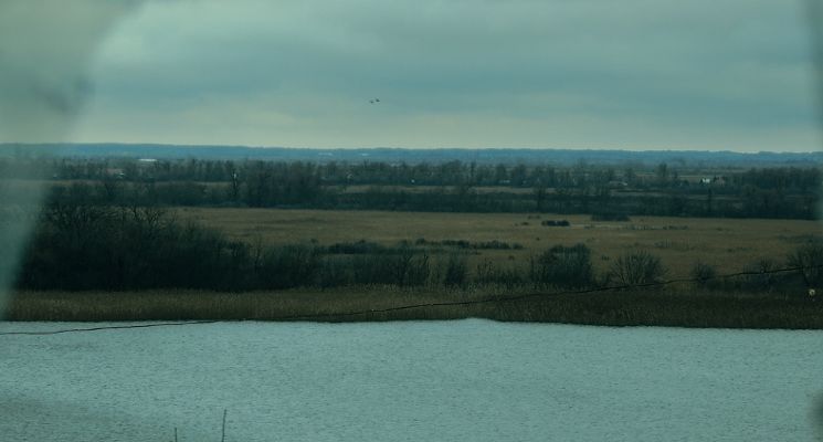 Plakat Voices from Ukraine. Landscapes – oprowadzania specjalne po wystawie