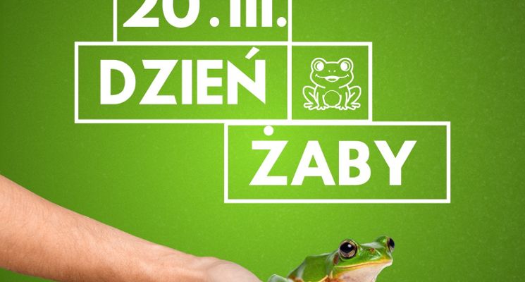 Plakat Dzień Żaby - czy żaby kumają dlaczego są tak ważne?