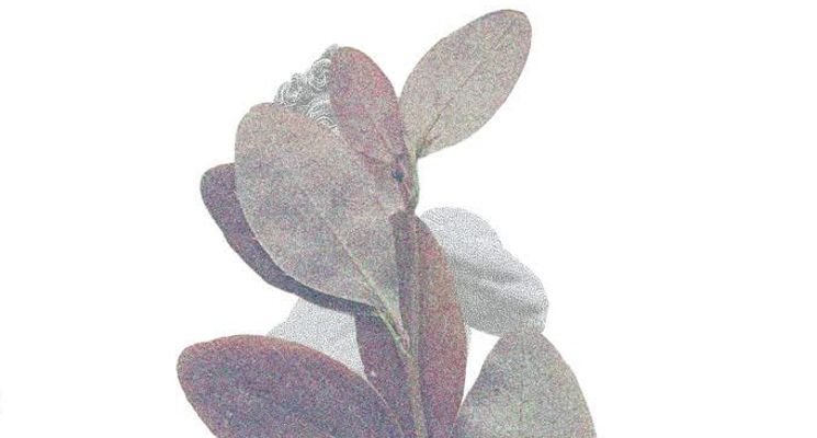 Plakat „W Naturze” Wystawa rzeźb na terenie Arboretum Wojsławice