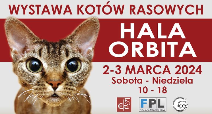 Plakat Wystawa Kotów Rasowych Hala Orbita