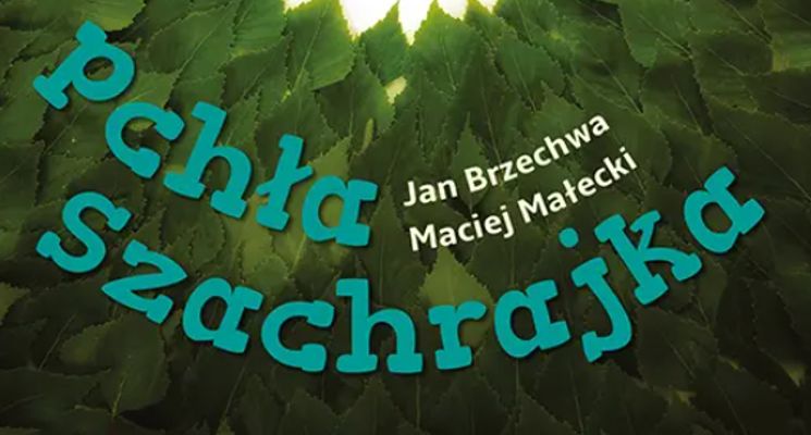 Plakat Pchła Szachrajka