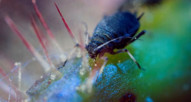 Plakat Maja Wolińska A DIFFERENT KIND OF ORDER