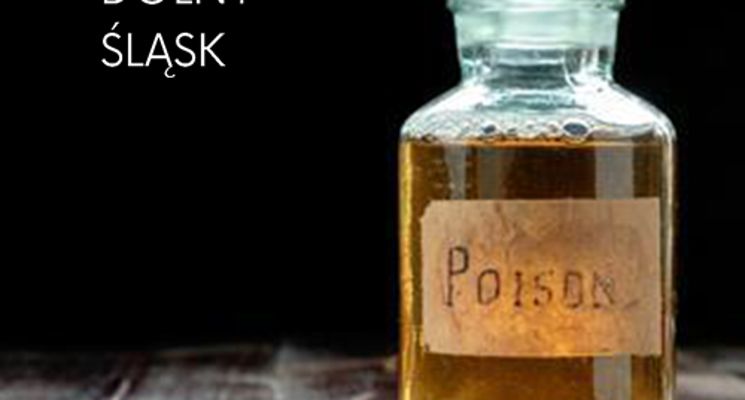 Plakat Życiorysy zapomnianych kobiet z Dolnego Śląska: Ernestine Feige – trucicielka z Jeżowa Sudeckiego