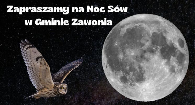 Plakat Noc sów w gminie Zawonia