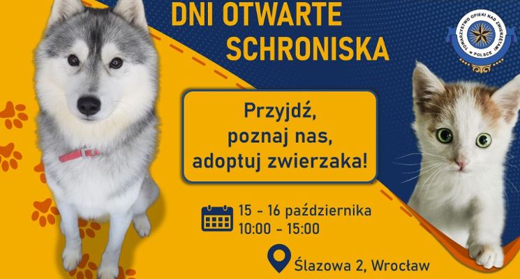 Plakat Dni Otwarte Schroniska dla Bezdomnych Zwierząt we Wrocławiu