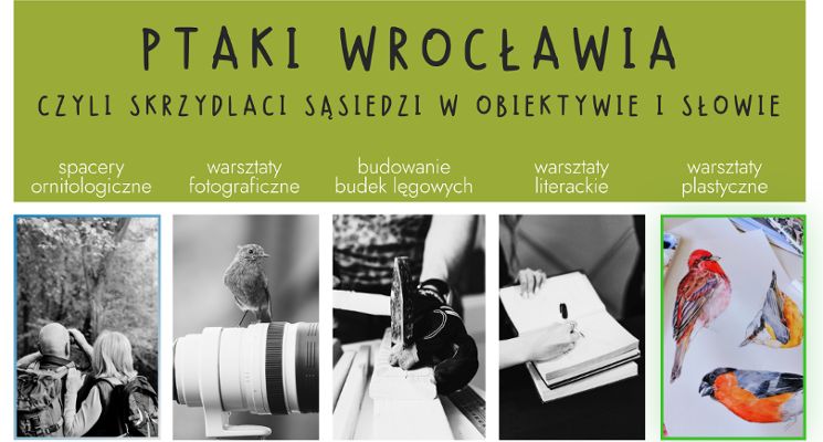Plakat Ptaki z tkanin – warsztaty kolażu tekstylnego