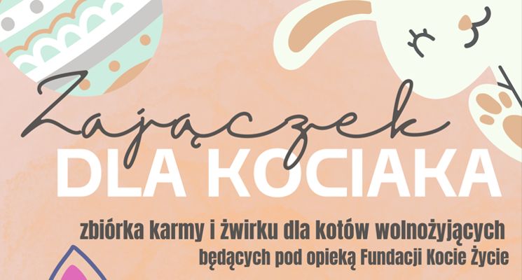 Plakat Zajączek dla kociaka – zbiórka karmy i żwirku dla kotów wolnożyjących