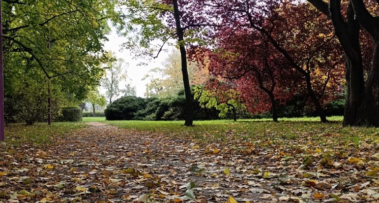 Plakat Nekropolie dawnego Wrocławia: Park Andersa i okolice ulicy Ślężnej