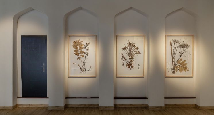 Plakat Roślinne krajobrazy wojny w Ukrainie – wykład dr Iwy Kołodziejskiej