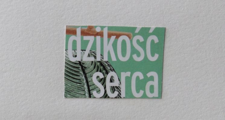 Plakat Kontury Kultury. Wystawa Anny Andrusyszyn „Dzikość serca” oraz warsztaty z kolażu [Noc Muzeów 2025]