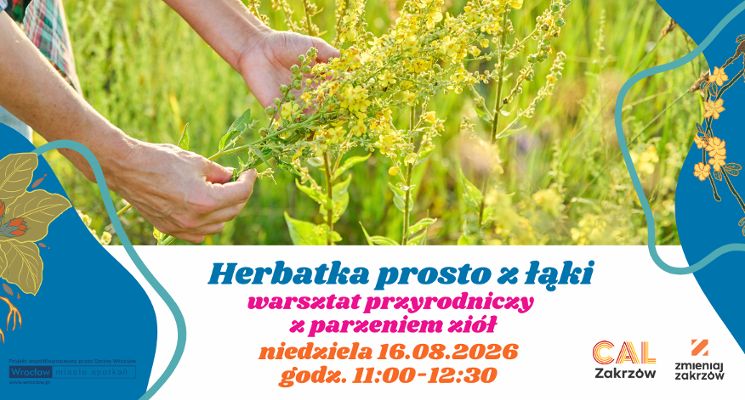 Plakat Herbatka prosto z łąki - warsztat przyrodniczy